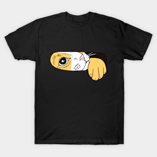 CAT  IN THE BOX T-Shirt